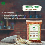 Groundnut